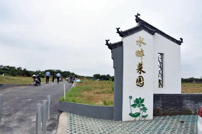 九游娱乐NineGame：句容这些地方要建百姓菜园了！(图3)