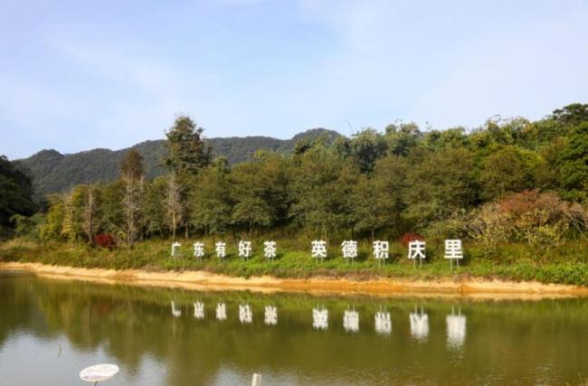 广东清远的城乡焕新之旅媒体+网络强村推动发展(图1)