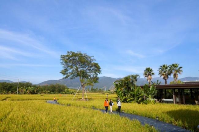 广东清远的城乡焕新之旅媒体+网络强村推动发展(图3)