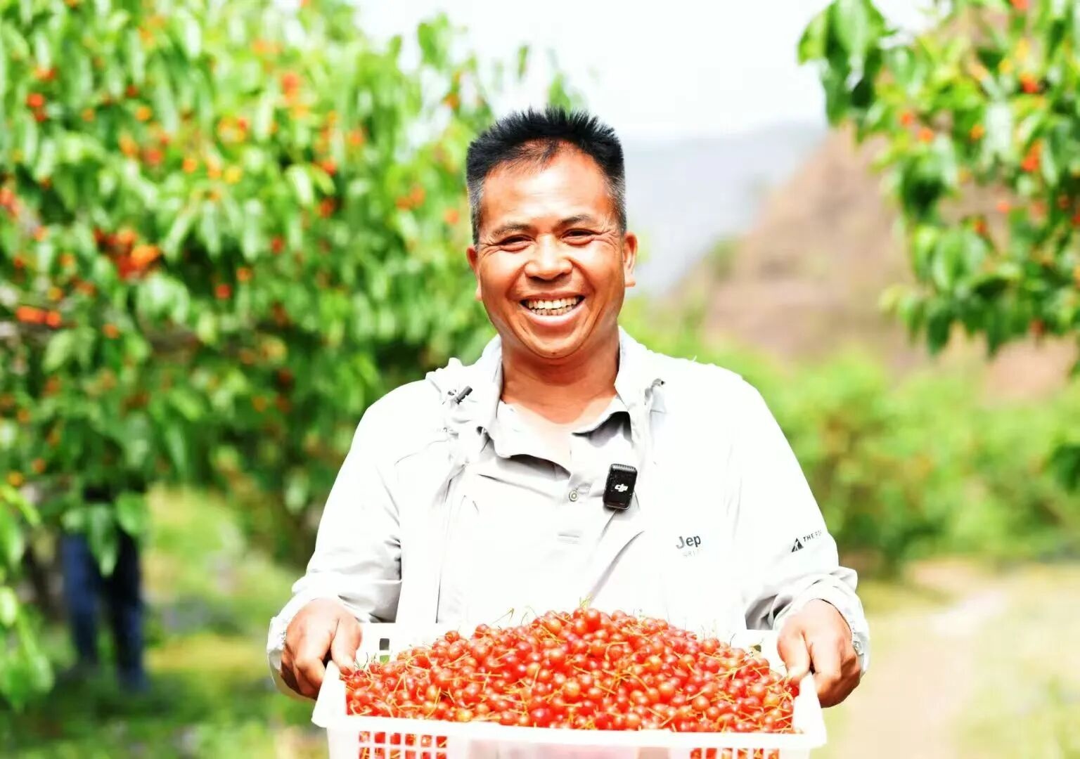 回眸“十四五”展望“十五五”｜“农”墨重彩绘就凉都沃野新画卷(图6)