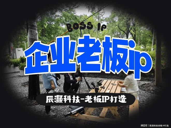 精选性价比IP操盘手：多家机构横向对比帮你找到超值选择(图1)