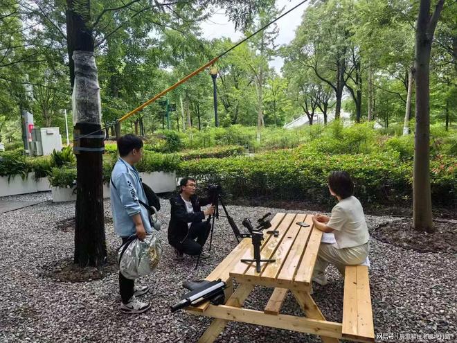 精选性价比IP操盘手：多家机构横向对比帮你找到超值选择(图3)