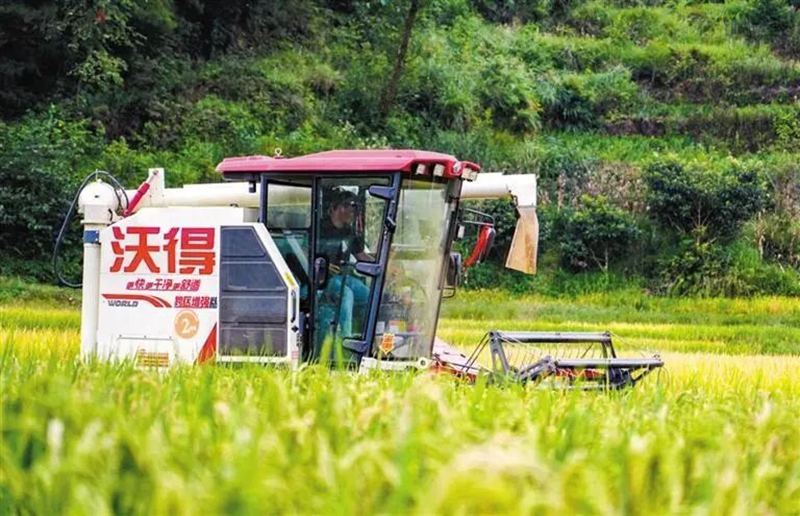 九游娱乐：“农”墨重彩绘就贵州凉都沃野新画卷(图2)