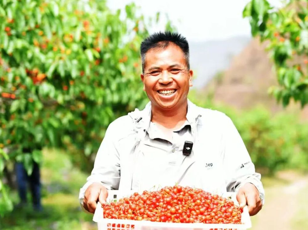 九游娱乐：“农”墨重彩绘就贵州凉都沃野新画卷(图3)