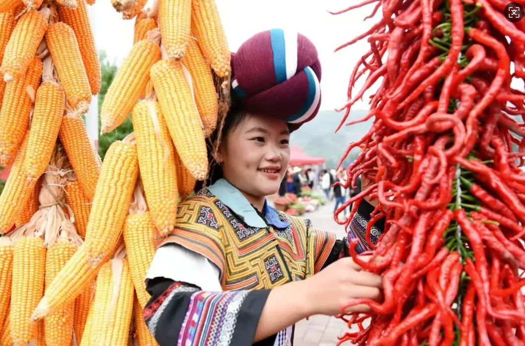 九游娱乐：“农”墨重彩绘就贵州凉都沃野新画卷(图7)