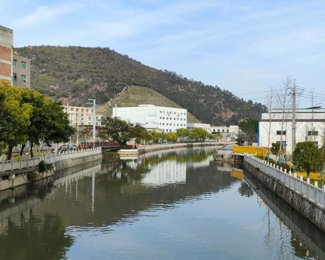 价值堪比松茸！24年浙江首次发现当地早20年发现还曾出口日本(图3)