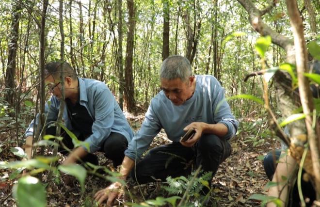 价值堪比松茸！24年浙江首次发现当地早20年发现还曾出口日本(图17)