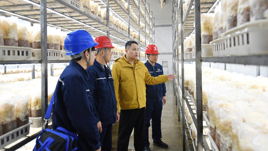 福州：“满格电”激活县域特色产业链电力创新服务赋能乡村振兴-新华网(图3)