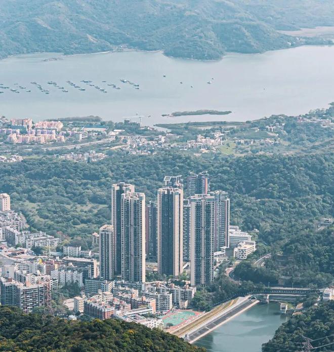 热搜NO1莲塘金岸里发布：莲塘金岸里改写鹏城楼市格局(图2)