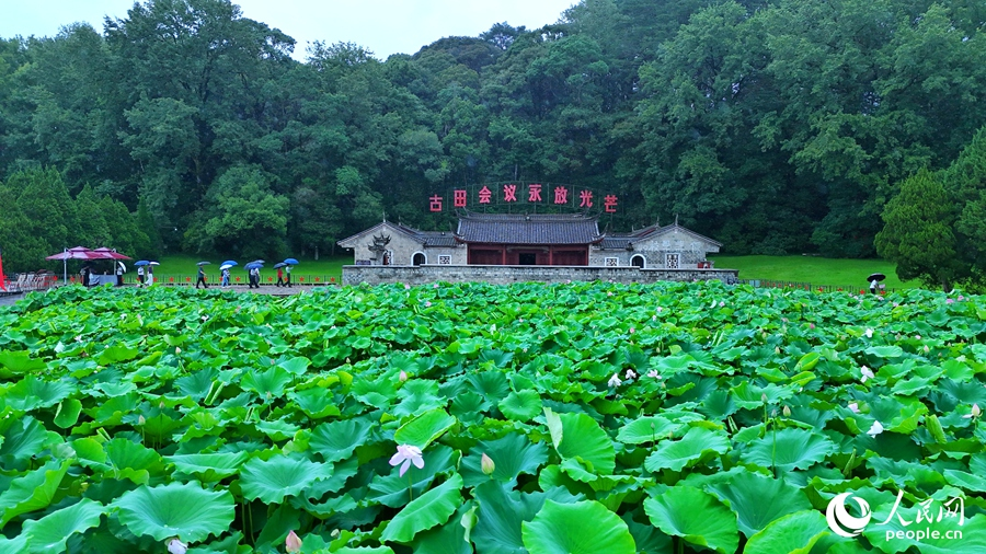 九游娱乐：从《山海情》到《沉默的荣耀》福建如何制造“爆款”？(图1)
