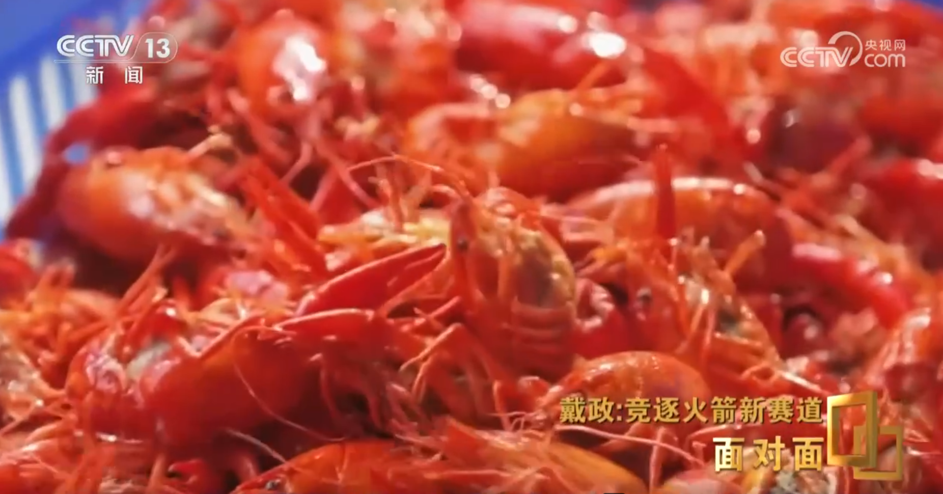 九游娱乐：面对面丨首次挑战火箭入轨回收朱雀三号总指挥：最后一脚刹车没有踩好(图10)