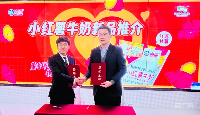 九游娱乐：“小红薯”牛奶亮相宁河红瑶甘薯牵手海河乳品解锁新味道(图2)