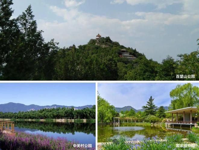 ⚡盛大开幕▷颐海澐颂售楼处发布颐海澐颂奢华生活新标杆(图7)