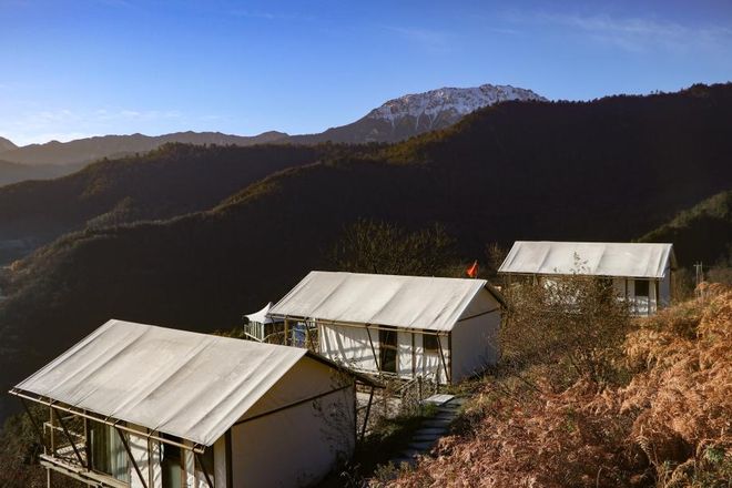 “海归”养猪记：48万人的县城孵化出600万粉丝网红矩阵(图4)