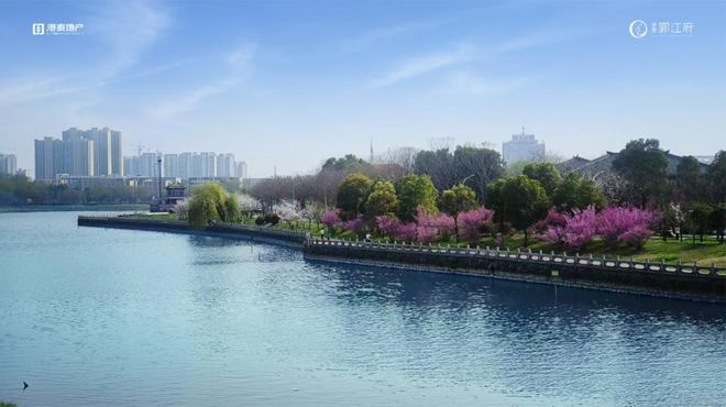 荆州顶豪看港泰！2026年买房看了港泰再决定(图11)