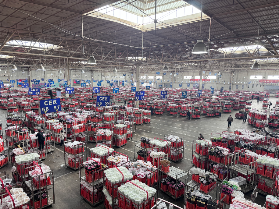 厚植高原沃土激活产业动能——云南推进高原特色农业强省新篇(图1)