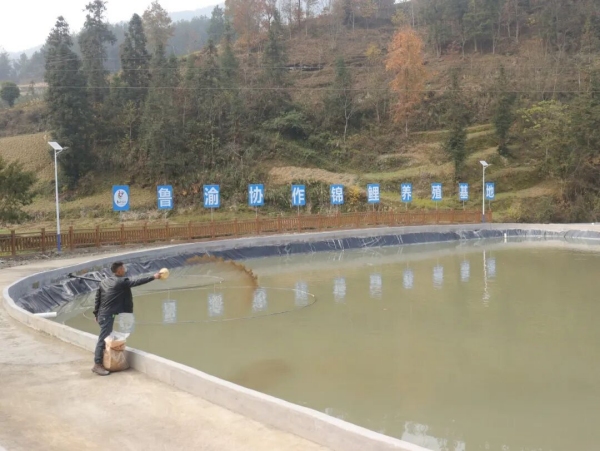 九游娱乐：从山海相连到心手相牵聊彭协作让帮扶之约化作振兴实效(图2)