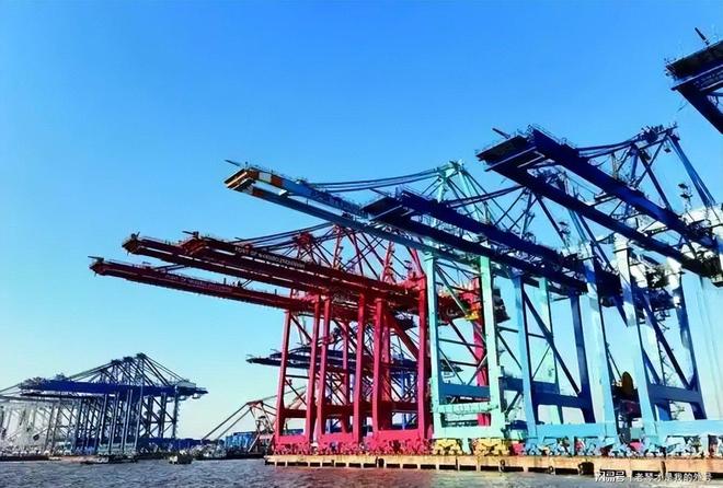 中美博弈再升级？特朗普一声令下92台中国起重机被突击检查(图13)