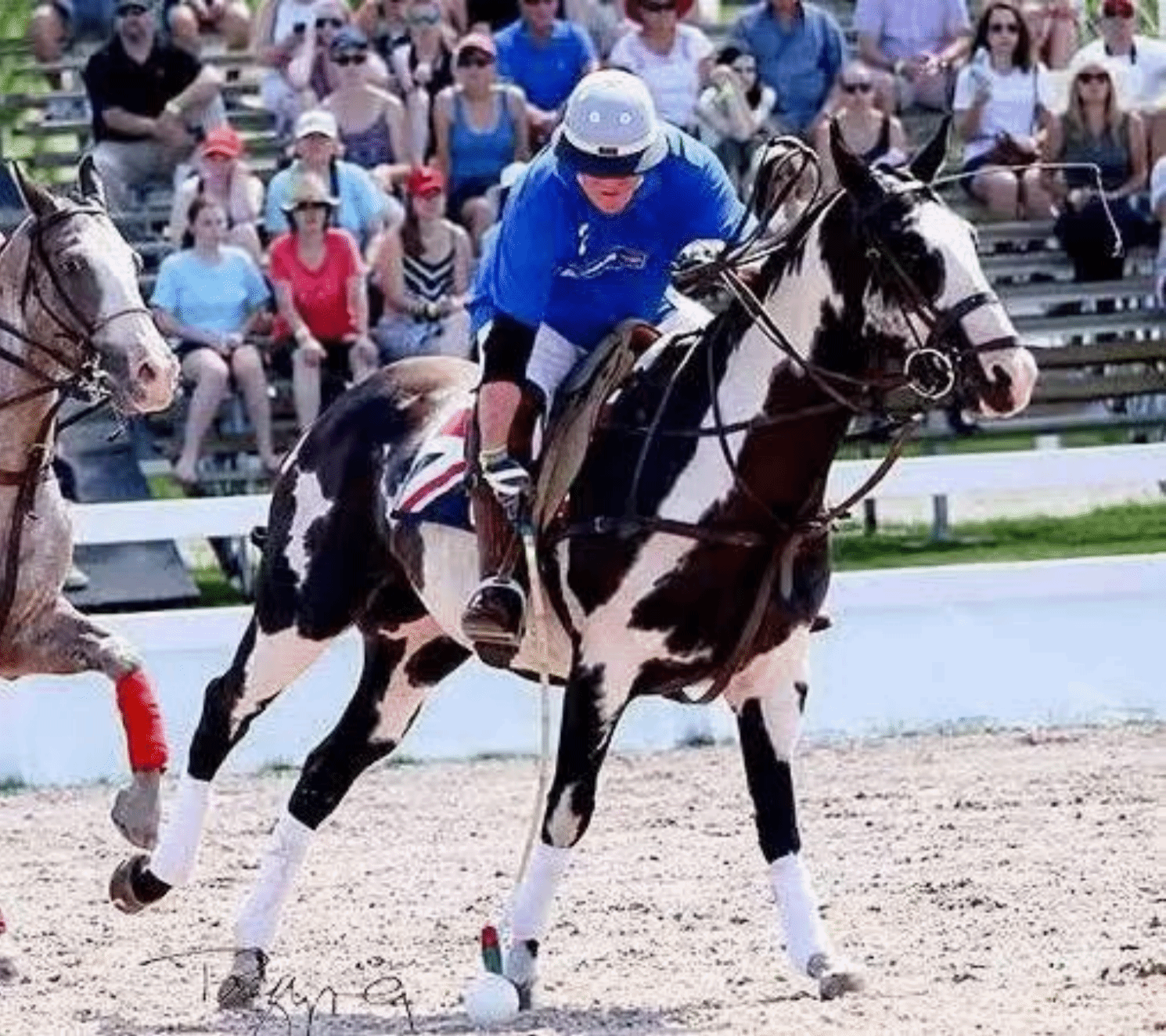 九游娱乐NineGame：天津大学马球文化研究中心代表出访加拿大、阿根廷马球协会深化国际合作和学术交流(图2)