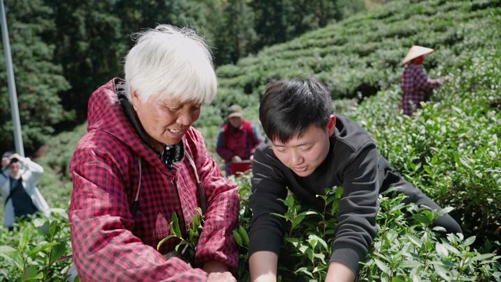 九游娱乐NineGame：浙江浦江：青年人才返乡乡村大变样(图1)