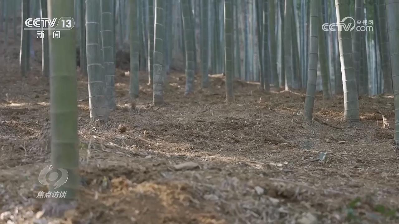 九游娱乐NineGame：焦点访谈｜守护“舌尖上的安全”新规来了(图8)