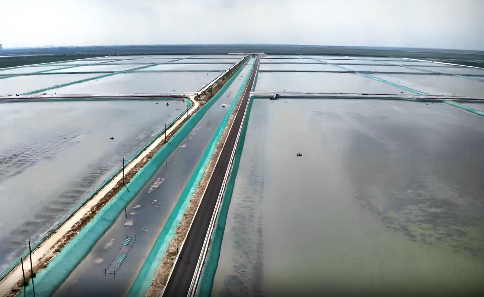 九游娱乐：新春走基层丨破冰捕蟹连夜出虾！东营黄河口“虾兵蟹将”奔向全国餐桌(图1)