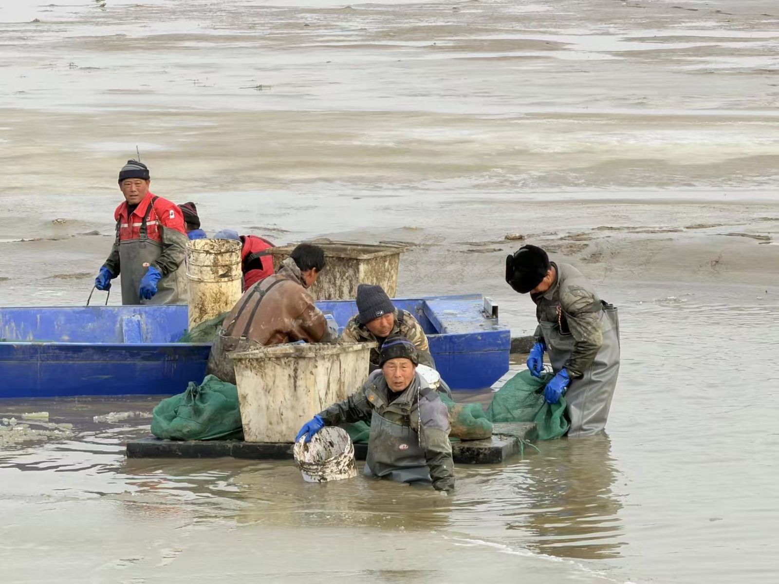 九游娱乐：新春走基层丨破冰捕蟹连夜出虾！东营黄河口“虾兵蟹将”奔向全国餐桌(图2)