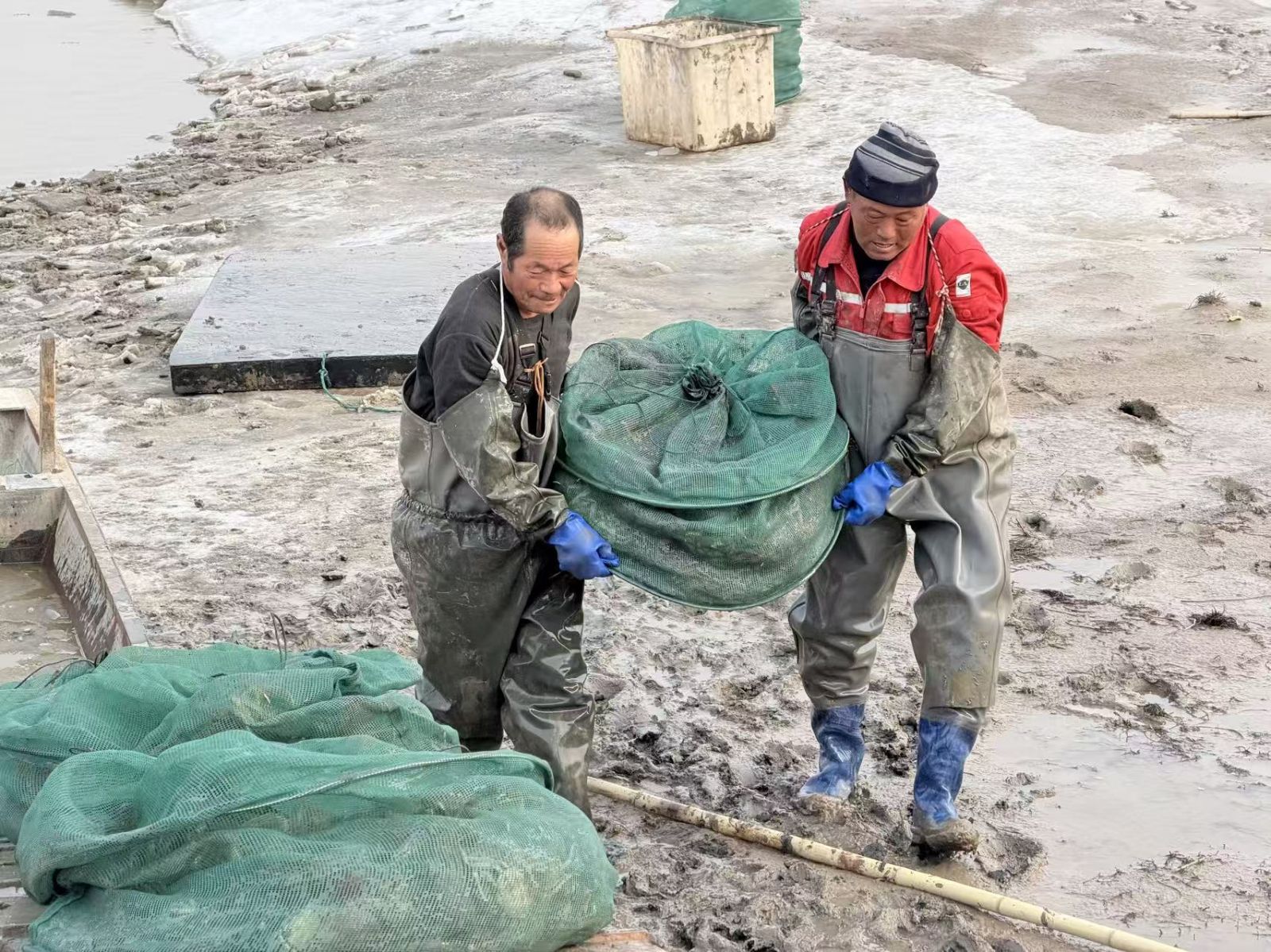 九游娱乐：新春走基层丨破冰捕蟹连夜出虾！东营黄河口“虾兵蟹将”奔向全国餐桌(图4)
