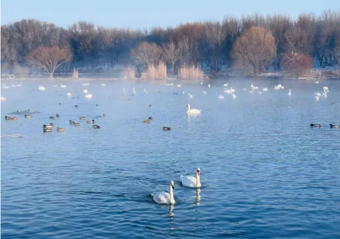 当好旅游兴疆的“冰雪策划师”(图2)